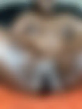 khetyvile 라이브 XXX 채팅