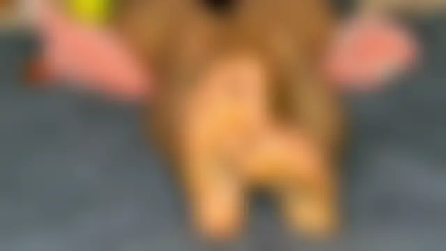 MissEmilyMiller's Live XXX Chat