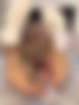 TweetiePieXXX's Webcam Show