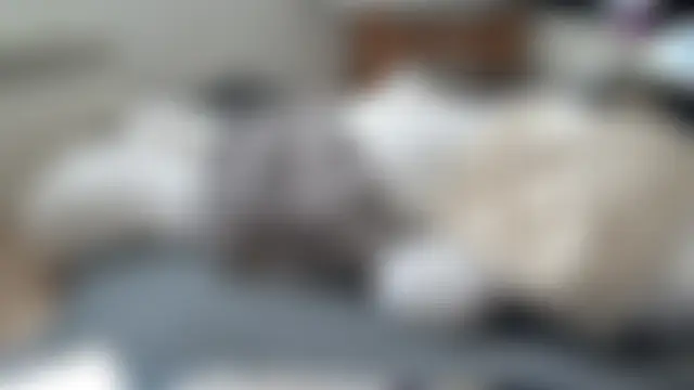 CeriseLapine Webcam-Show