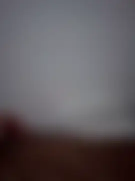 altinya 网络视讯表演