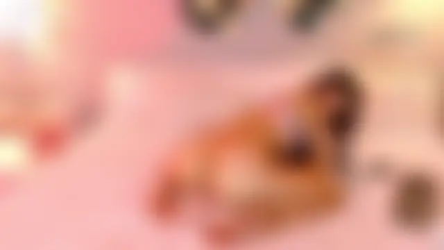 ห้องแชทสดของ laraa_jeean