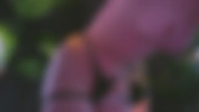 Chat XXX en directo de emilyshepar_d