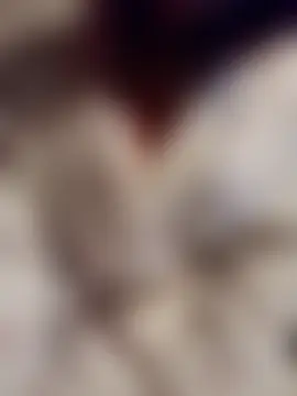 KITTEN-10's Live XXX Chat