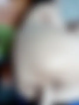 amenda_bae's Live XXX Chat