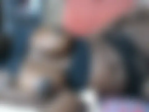 dreambody_ Adlı Modelin Web Kamerası Şovu