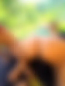 anita1976 Webcamshow