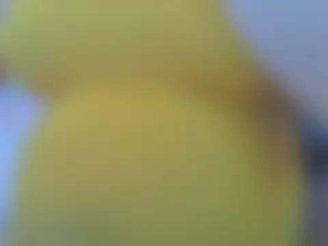 keepmepregnantT: διαδικτυακό σόου στην κάμερα