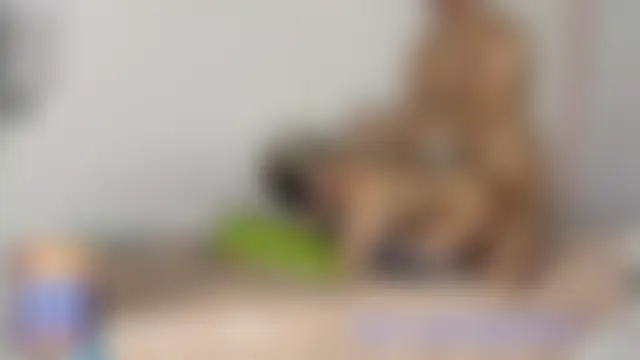 star_fucks' Webcam Show