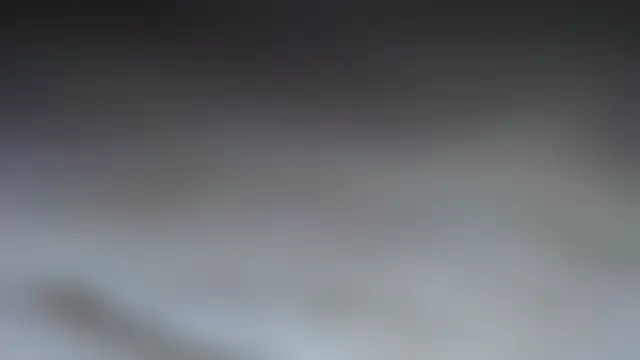 Chat XXX Live swt_shadow