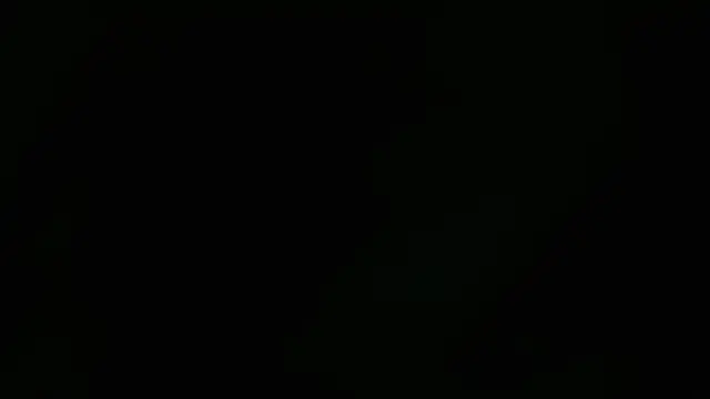 Lacht_Liden's Webcam Show