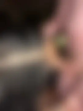 sexyasscougar – Live XXX-chat