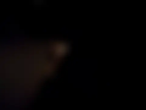 AceticPinscher – Live XXX-chat