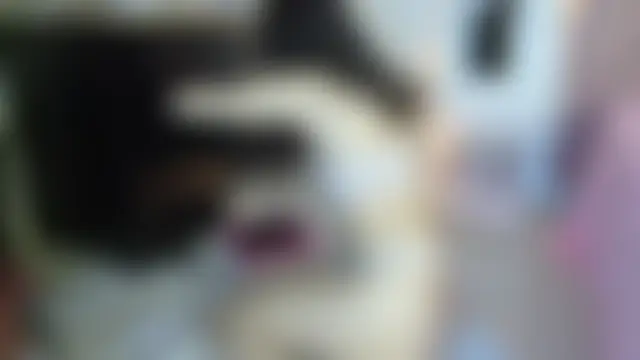 eva_sin18's Live XXX Chat