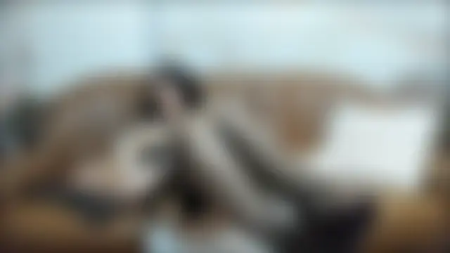 Chatroom XXX en direct de sweetdelia