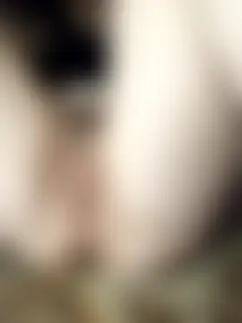 Holly_Bette 现场聊天室