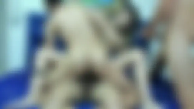 عرض كام CamilaGirlAndTwoBoy الجنسي المباشر