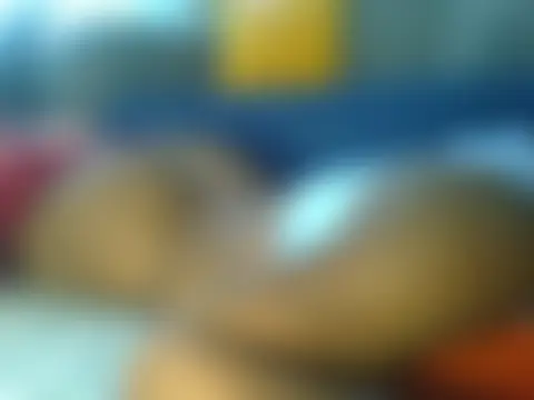 val5 现场聊天室