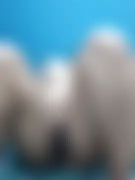 Sala de chat ao vivo de Ruchikalive