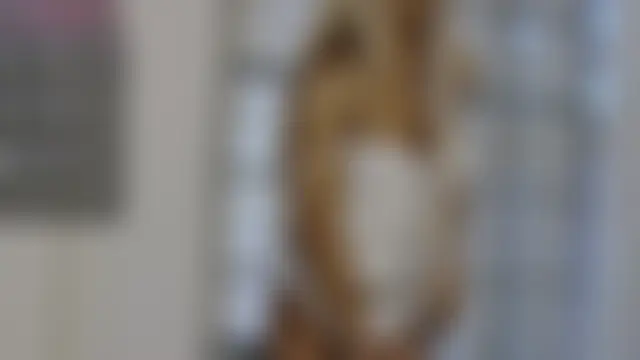 SarahRaynex Live Chatraum