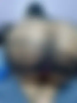 wildsakhi's Live Chat Room