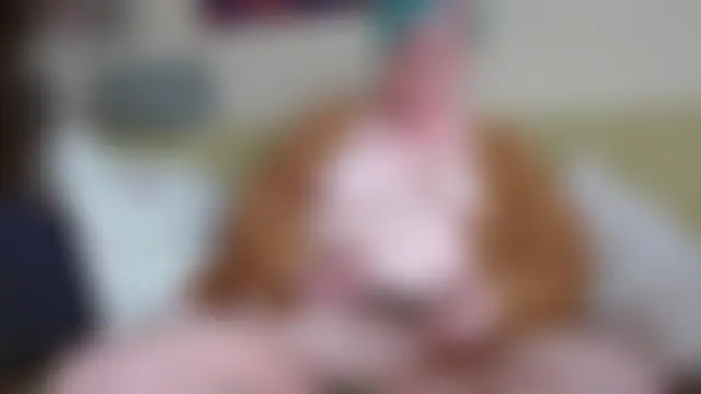 PotOfGreer's Live Chat Room