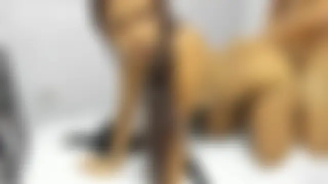 HarperAndMason Live seks camshow