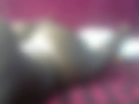 LowKeyWild_: διαδικτυακό σόου στην κάμερα