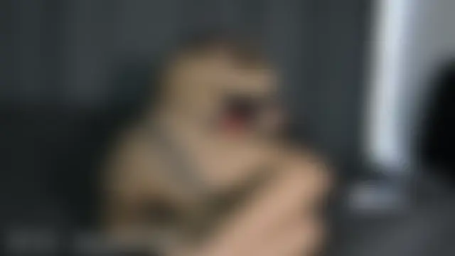 Jade_pleasure_: απευθείας σέξι σόου στην κάμερα