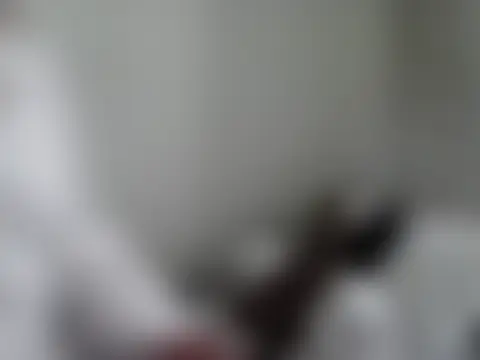 belgianshantie Live XXX Chat