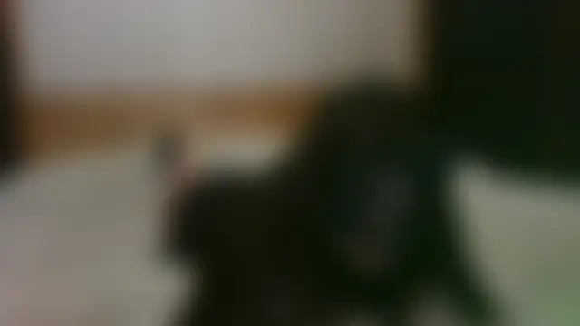 EthelsLover 即時 XXX 聊天