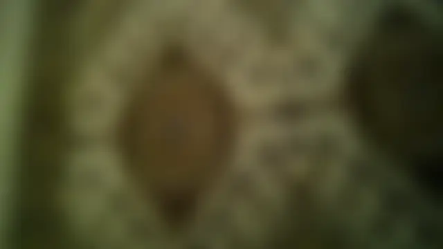 Sembang XXX Secara Langsung FayInessaKiss