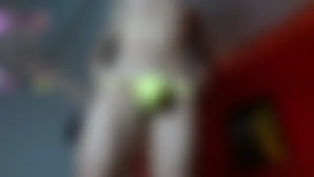 thesalomonshow888 – live chatrum