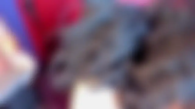 Jackson_n_Scarlett's Webcam Show