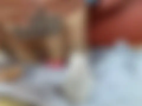 Lauda-aa Live XXX-Chat