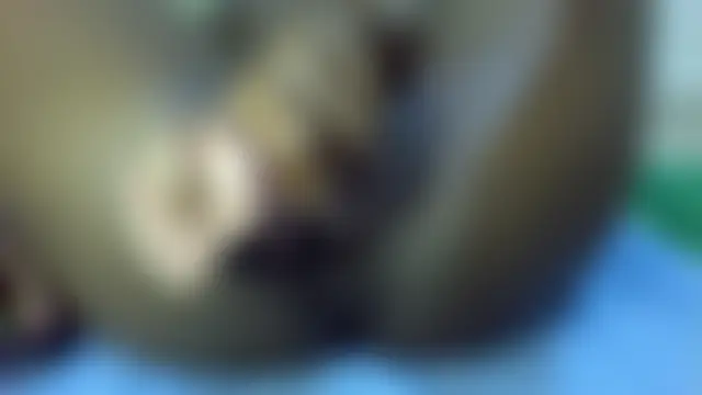 Juicy-Liana Webcam-Show