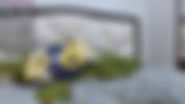 Madison_Copers' Live XXX Chat