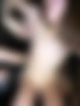 عرض كام littleqiu