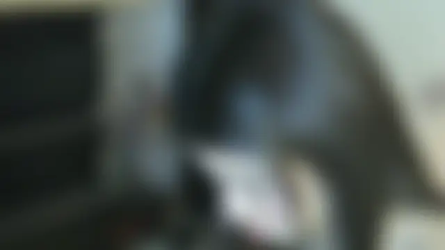 Živý XXX chat eva_sin18