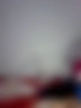 altinyan Webbikameraesitys