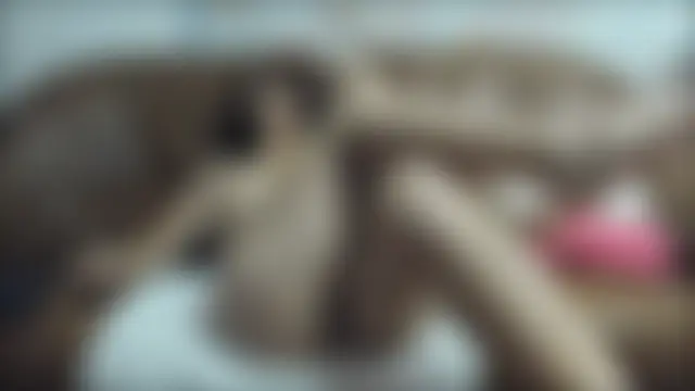 sweetdelia Webcam show