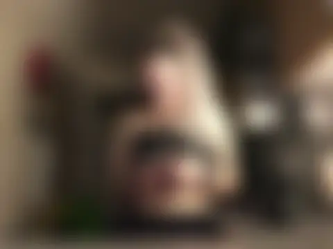 xxamyleighxx – live chatrum