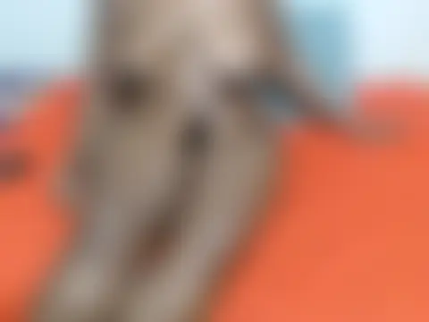 Czat XXX na żywo – MelaninBunii