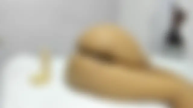 HarperAndMasonn Webbikameraesitys