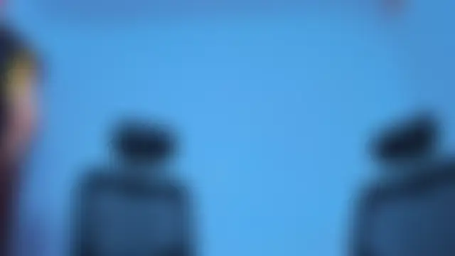 Thomas-Wiln Webbikameraesitys