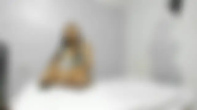 HarperAndMason – Kamerová šou