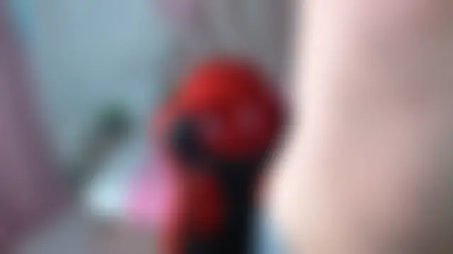 sven_fox723 Webcamshow