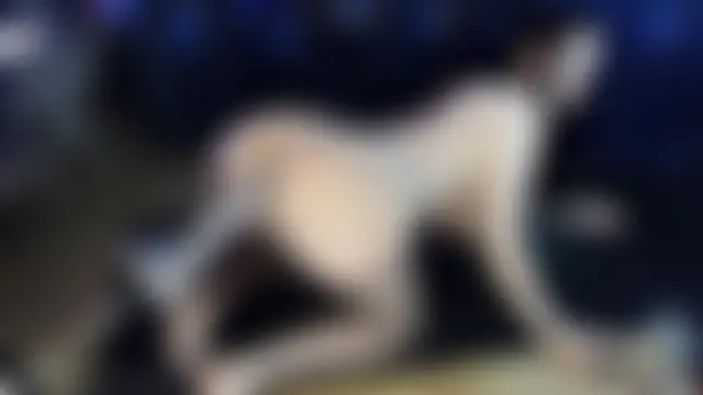 lsqueen_ 即時 XXX 聊天