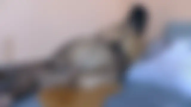 Fantasy1976のライブXXXチャット