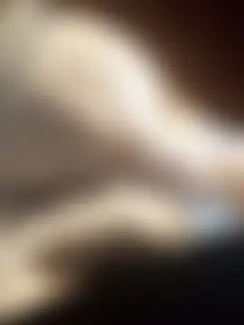 estradiolist's Webcam Show